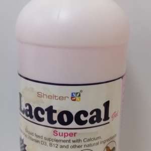 LACTOCAL GEL SUPER 1L