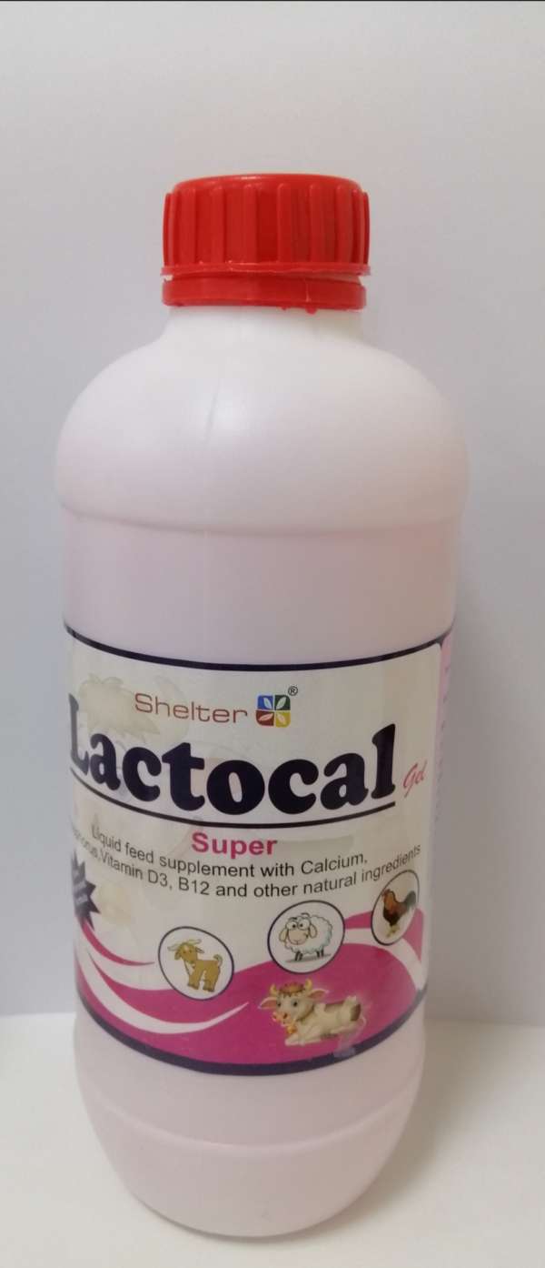 LACTOCAL GEL SUPER 1L