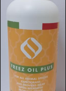 Freeze